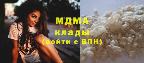 стаф Алзамай