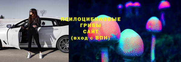 мескалин Алексин