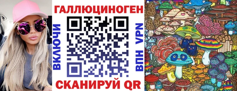 Галлюциногенные грибы Psilocybine cubensis  Болхов 